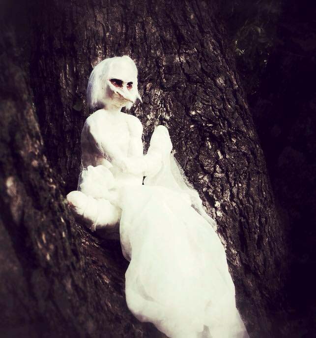 Dryad2