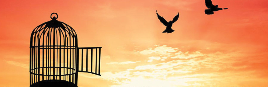 Freedom