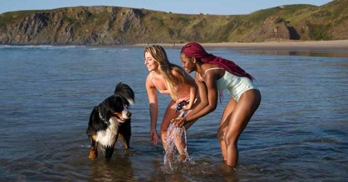 LFRAN 3 Dogs in water