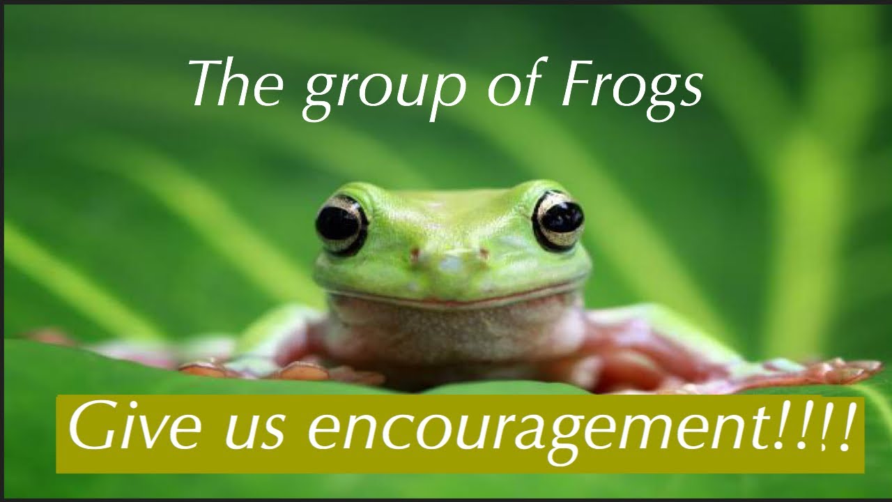 MTr 3 419 Frogs