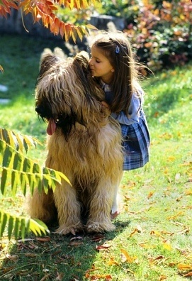Medley Dogs 2