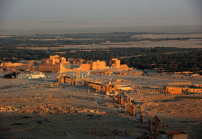 Medley Palmyra 2