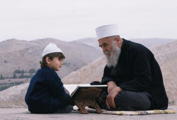 TE 7 Druze
