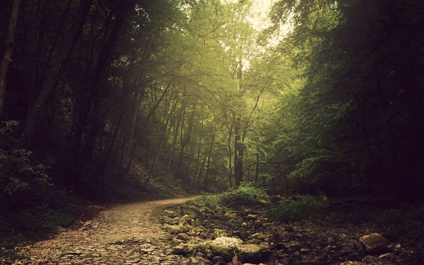 Theosophy 420 EG b The Path