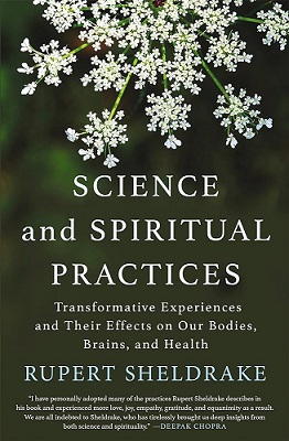 Theosophy A 3 Book