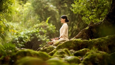 Theosophy A 5 forest bathing 1678171720441 1678171720725 1678171720725