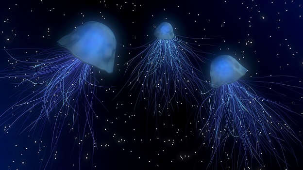 Theosophy Jellyfish 2 