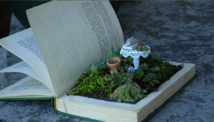 Medley Focus 2 A book is a garden