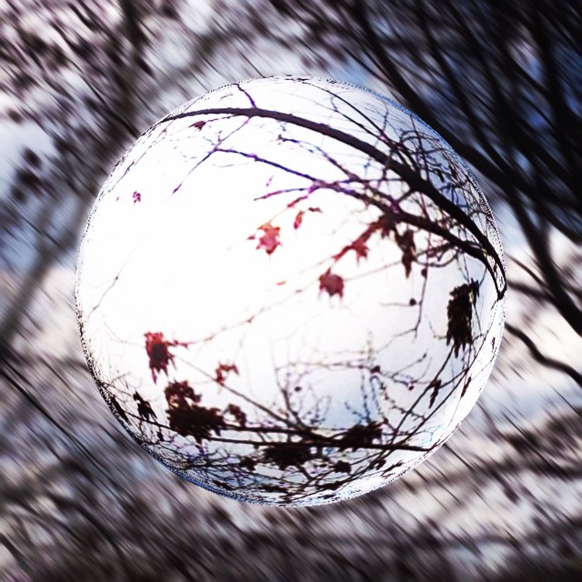 spiritisobserved