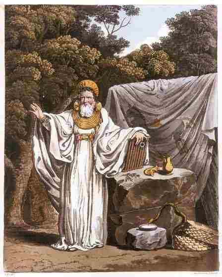 te druidism 2