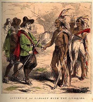 TE Native 3