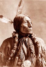 TE Native 5