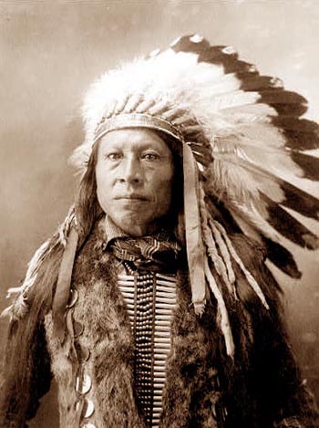 TE Native 6