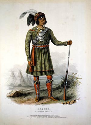 TE Native 7