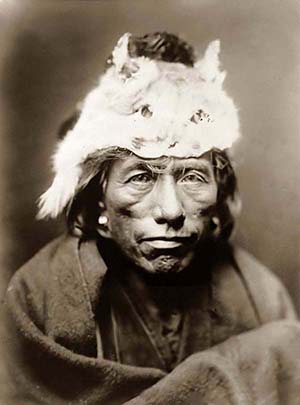 TE Native 8