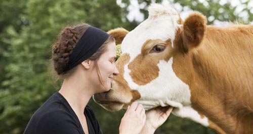 Medley Ethical Treatment of Animals in Judaism 3