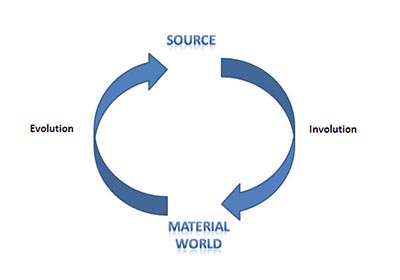TE 4 Evolution and Involution