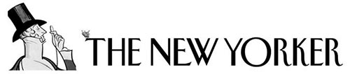 Public Eye 2 The New Yorker