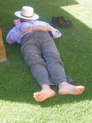 Theosophy JD 3 image In the Grass