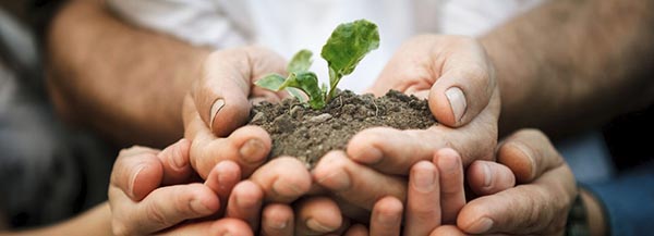 Theosophy GdP 2 Altruism