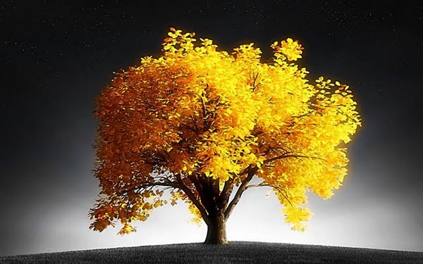 Theosophy Theosophy and Christian Thought 2