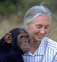 Quotations 3 Jane Goodall and Chimp friend