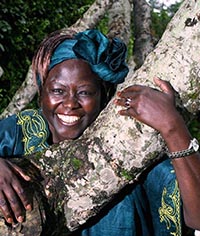 Quotations 4 Wangari Maathai Muta